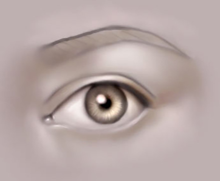 The Human Eye image 7