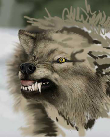 Wolf Painting image 5