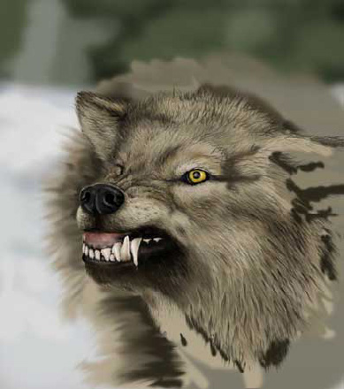 Wolf Painting image 6