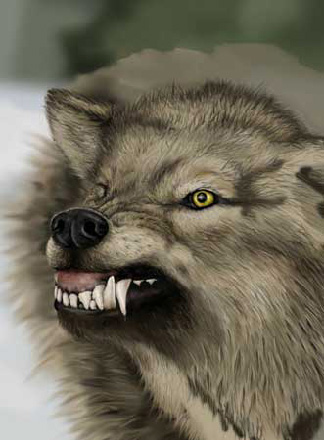 Wolf Painting image 7
