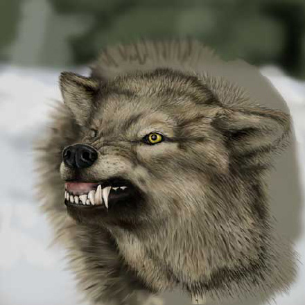 Wolf Painting image 8
