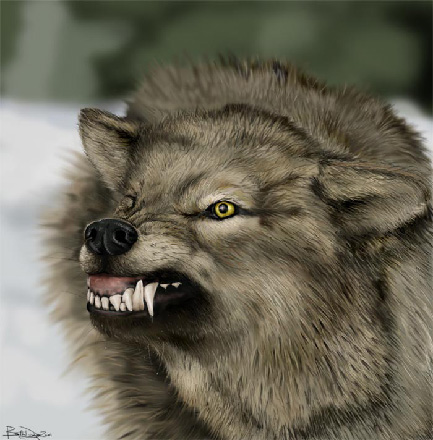 Wolf Painting image 9